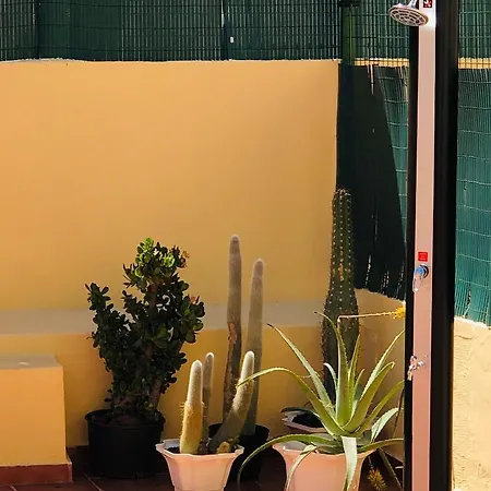 شقة Apartamento La Real 3